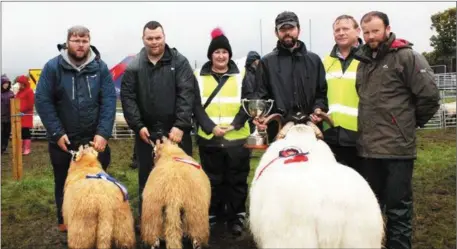  ??  ?? RIGHT: At the 33rd Annual Kilgarvan Show the winner of the Michael Kelleher Perpetual Trophy for the Overall Scotch Sheep of the Show. Pictured l;r: Adrian and Paudie O’Sullivan Kilgarvan, Mary O’Sullivan Kilgarvan Show Committee member. Garry Norris...