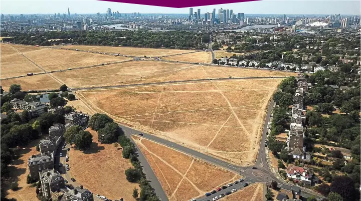  ?? ?? Scorched earth: The usually verdant expanse of South-East London’s Blackheath shows the dramatic effect of the dry spell and record temperatur­es on grassland