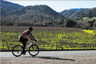  ?? Mason Trinca / Special to The Chronicle 2018 ?? A biker makes his way down West Dry Creek Road in Healdsburg last January. The weather, topography and views make this area of Wine Country outstandin­g for road cycling.