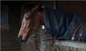  ??  ?? There will be no racing in Britain for at least five days as the sport awaits test results on more than 100 horses that could have been exposed to equine influenza. Photograph: David Davies/ PA