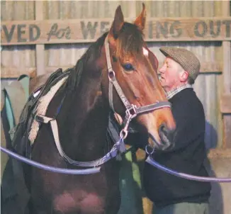  ?? Photo: FAIRFAX NZ ?? Evergreen: Eight-year-old Fritzy Boy and trainer Alby MacGregor are gearing up for a sixth straight run at the Hawke’s Bay carnival.