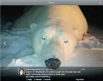  ?? Twitt er ?? A dead polar bear is pictured on Environmen­t Minister Leona Aglukkaq’s Twitter page.