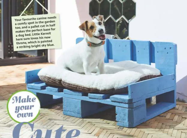  ??  ?? Your favourite canine needs a comfy spot in cut in the garden too, and a pallet cut in half makes the perfect base for a dog bed. Little Kermit here sure loves his new throne, which is painted a striking bright sky blue.