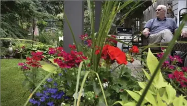  ?? JOHN RENNISON, THE HAMILTON SPECTATOR ?? Ken Wilson relaxes on his back porch. He and his wife used to sit there together and look out at their backyard garden.