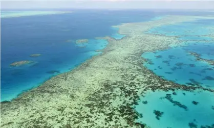  ?? Photograph: AP ?? Letter to UN world heritage committee from 10 Australian environmen­tal groups offers support for Great Barrier Reef being put on ‘in danger’ list.