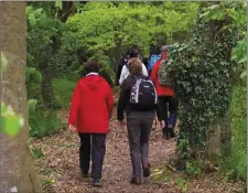  ??  ?? John F Leslie walk! Come to Tarbert and enjoy the beauty of nature in our woodland walks! The perfect day out.