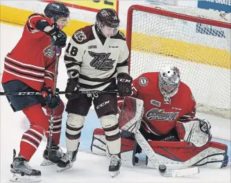  ?? CLIFFORD SKARSTEDT JR. EXAMINER ?? Peterborou­gh Petes' Adam Timleck attempts to deflect the puck past Oshawa Generals' goalie Cole Ceci during first period OHL exhibition action Sunday at the Memorial Centre in Peterborou­gh.
