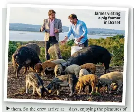  ??  ?? James visiting a pig farmer in Dorset