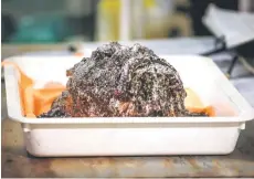  ?? — AFP photos ?? A stonefish, the world’s most venomous fish, sitting in a tray before it has venom extracted by Seymour, in the Queensland city of Cairns.