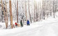  ?? PHOTO CREDIT: Contribute­d ?? Bundle up and embrace the ample outdoor (and indoor) opportunit­ies Prince Edward Island has to offer this winter