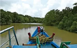  ??  ?? Above: A boat safari through the mangroves at Bhitarkani­ka