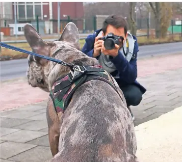  ?? RP-FOTO: DOMINIK SCHNEIDER ?? Daniel Beltran mit Bulldogge Rocky. Der Fotograf aus Bogotá und seine Freundin haben einen Film über Straßenhun­de in ihrer Heimat gemacht, den sie heute Abend in Garath zeigen.