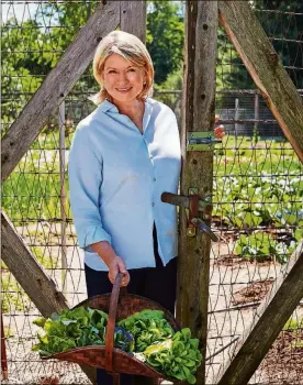  ?? MARCUS NILSSON/MARTHA STEWART LIVING ONLINE ?? Martha Stewart in her garden.