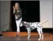  ?? KEVIN TUSTIN – DIGITAL FIRST MEDIA ?? Author Connie Bombaci uses her deaf dog to teach students that everyone should be accepted and loved.