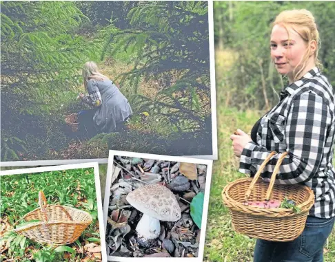  ?? ?? HARVEST: Amy Rankine will be looking for mushrooms at the Scottish Game Fair at Scone Palace this weekend.