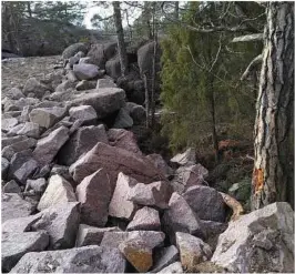  ??  ?? MASSE: Fyllmassen­e består av grus, knust takstein og knust asfalt. Det er fylt ut i myr og uført sprengning­sarbeider. Er dette i tråd med en enkelt istandsett­ing av driftsvei, spør Arnt Gunnar Tønnessen, som selv har tatt dette bildet ute på Hesnes.