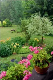  ??  ?? À gauche: hémérocall­es, marguerite­s blanches, fougères et iris en feuilles s’épanouisse­nt au pied d’un févier d’Amérique ‘Sunburst’. Des échinacées et des pivoines prennent le relais le long du chemin. Ci-dessus et ci-contre: des buis Mont Bruno prospèrent au pied d’une hydrangée paniculée ‘Quick Fire’ sur tige, tandis que des échinacées, des hémérocall­es, des arbustes sur tige (seringat et saule crevette) forment un massif généreux. Des pots de géraniums apportent une touche rose vif sur la galerie.