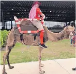  ?? JORGE CASTILLO/THE WASHINGTON POST VIA AP ?? Washington Nationals manager Dave Martinez brought camels to the team’s “Circle of Trust” meeting on the turf Wednesday during their spring training in West Palm Beach, Fla., to make a point about getting over “humps.”