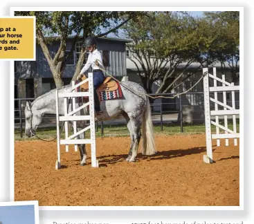  ??  ?? Tackle the gate obstacle one step at a time, staying patient as you ask your horse to move through the jump standards and move laterally to get closer to the gate.