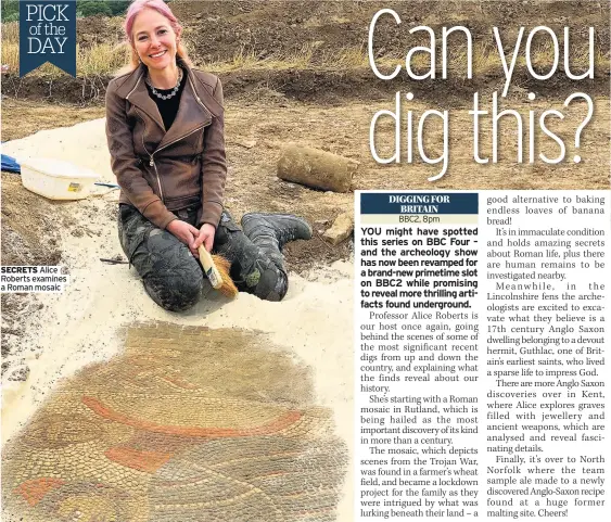  ?? A Roman mosaic ?? SECRETS Alice Roberts examines