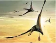  ?? ?? An illustrati­on of the pterosaur, whose fossil was unearthed on the Isle of Skye