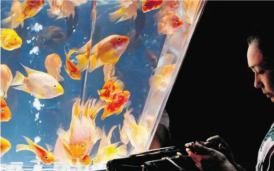  ?? KOJI SASAHARA/THE ASSOCIATED PRESS ?? According to a new study, our attention spans have fallen to an average of just eight seconds — one second shorter than the average for goldfish.
