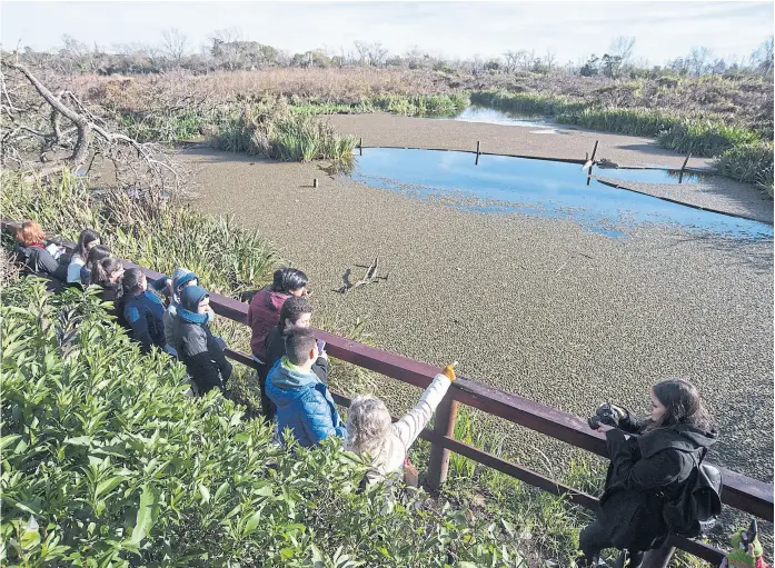  ?? Patricio pidal/afv ?? Chicos de una escuela porteña recorren el circuito rico en especies animales y vegetales junto a la costa del Río de la Plata