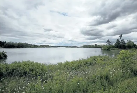  ?? JULIE JOCSAK/POSTMEDIA NEWS ?? Lake Gibson’s shoreline is part of the provinces updated land use plan.