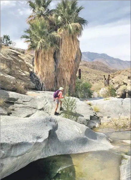  ?? Brian E. Clark ?? A HIKER STEPS carefully among gigantic granite slabs sculpted by tumbling waters along the Palm Canyon Trail in Palm Springs.