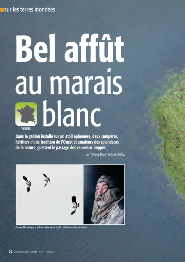  ??  ?? Daniel Blandineau, « enfant » du marais breton et chasseur de vanneaux.