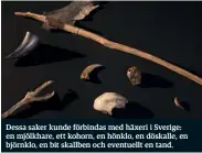  ??  ?? Dessa saker kunde förbindas med häxeri i Sverige: en mjölkhare, ett kohorn, en hönklo, en döskalle, en björnklo, en bit skallben och eventuellt en tand.