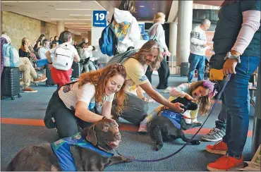  ?? FOTOS: GZA. BOCALáN ?? JUNTOS. Adultos y niños participar­on de la experienci­a de acariciar a los perros de apoyo.