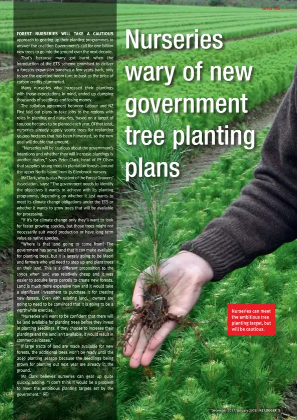  ??  ?? Nurseries can meet the ambitious tree planting target, but will be cautious.