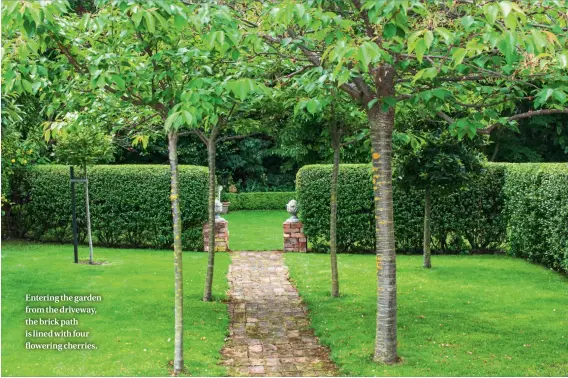  ??  ?? Entering the garden from the driveway, the brick path is lined with four flowering cherries.