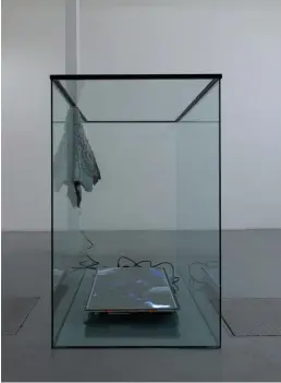  ??  ?? Edith Dekyndt, Waxahachie, 2018; video, skin and display case; 144 x 160 x 90 cm; Edith Dekyndt: The Lariat, installati­on view, VNH Gallery, Paris, 2019. Photo: Diane Arques / ADAGP. Courtesy: the artist and VNH Gallery.