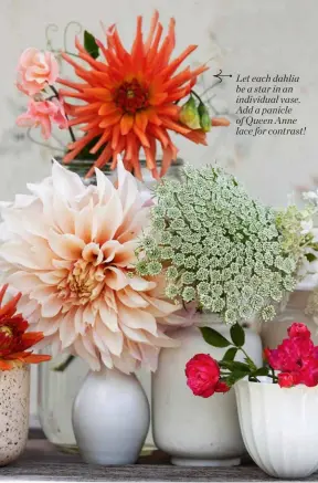  ?? ?? Let each dahlia be a star in an individual vase. Add a panicle of Queen Anne lace for contrast!