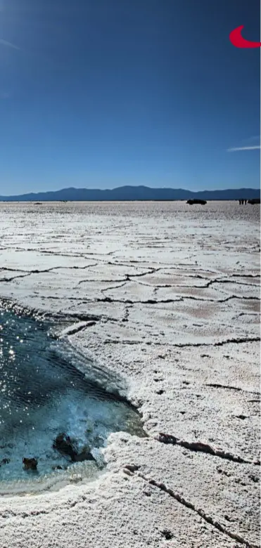  ??  ?? DISTESA BIANCA Salinas Grandes è una spettacola­re distesa di biancheggi­anti depositi di sale punteggiat­a di simmetrich­e polle d’acqua azzurro corallo. Occupa un’area di 8.300 kmq a un’altitudine di 3.600 m.