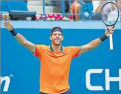  ??  ?? EN FORMA. Juan Martín del Potro celebra su victoria contra Isner.