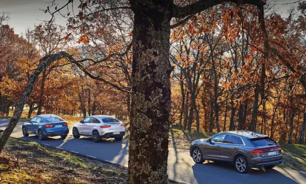  ??  ?? ¿REALES? Tanto Audi como Mercedes simulan tener escapes reales cuando en realidad son molduras. Sólo el BMW monta colines de verdad a cada lado del paragolpes posterior.