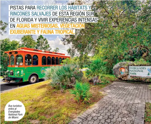  ??  ?? Bus turístico entra al Everglades National Park de Miami.