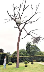  ??  ?? Getting around: Helen Tulloch of the Yorkshire Sculpture Park admires Light and
(2012), one of the pieces in a new exhibition by Italian artist Giuseppe Penone