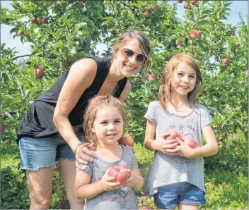  ?? KIRK STARRATT ?? Sophie Poirier of Cow Bay was at Dempsey Corner Farm Market and U-pick picking apples with her daughters, six-yearold Jade Bernard and three-year-old Julia Bernard, for the first time on Sept. 24.