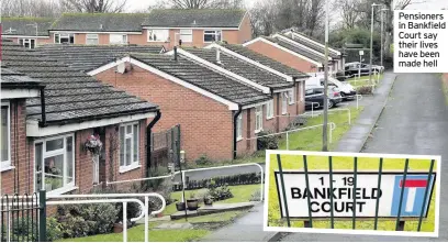  ??  ?? Pensioners in Bankfield Court say their lives have been made hell