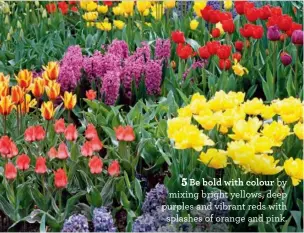  ??  ?? Be bold with colour by mixing bright yellows, deep purples and vibrant reds with splashes of orange and pink.