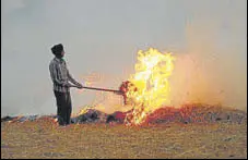  ?? FILE PHOTO ?? A farmer burning paddy stubble at his farm in Punjab.