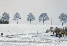  ?? Foto: Daniel Karmann, dpa ?? In Teilen Frankens stand einem schönen winterlich­en Spaziergan­g nichts im Weg: Die Aufnahme entstand in Kalchreuth.