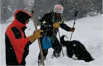  ??  ?? Practice run: The dog finds human scent and starts to dig, with help from its handlers