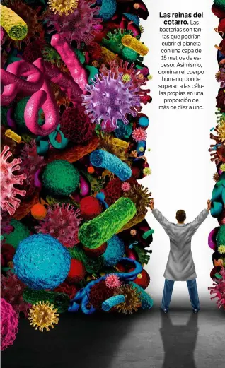  ??  ?? Las reinas del cotarro. Las bacterias son tantas que podrían cubrir el planeta con una capa de 15 metros de espesor. Asimismo, dominan el cuerpo humano, donde superan a las células propias en una proporción de más de diez a uno.