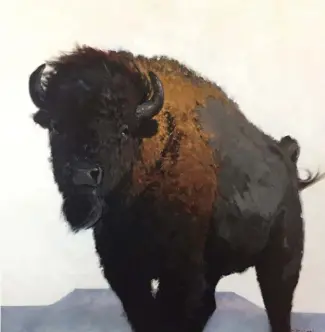  ??  ?? Bison Series #2, oil, 36 x 36”