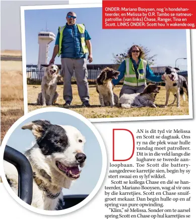  ??  ?? ONDER: Mariano Booysen, nog ’n hondehante­erder, en Melissa by O.R. Tambo se natneuspat­rollie: (van links) Chase, Ranger, Tina en Scott. LINKS ONDER: Scott hou ’n wakende oog.